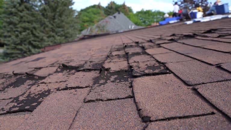 Roof Moss and Algae Removal in Grandview Heights, OH